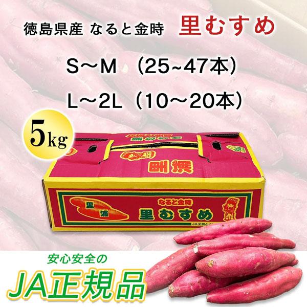 なると金時 里むすめ 徳島県産 さつまいも 5kg L-2Lサイズ 10-20本入