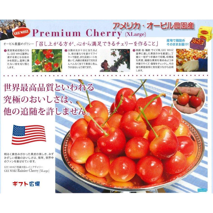 オービル農園 アメリカン チェリー 1kg GEE WHIZ 超大粒 レイニア 種