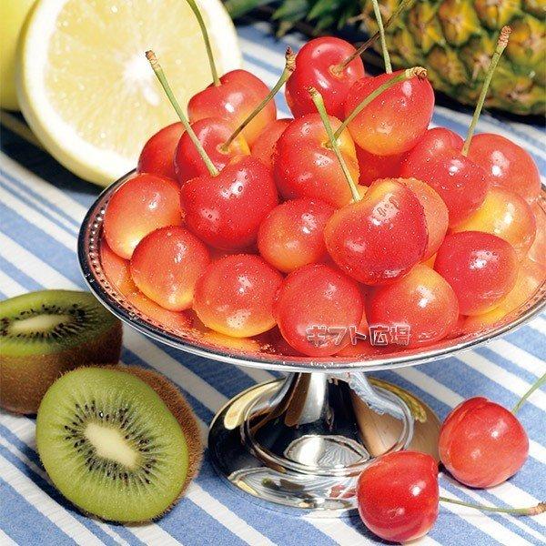 オービル農園のレーニアチェリー2kg 【公式通販】
