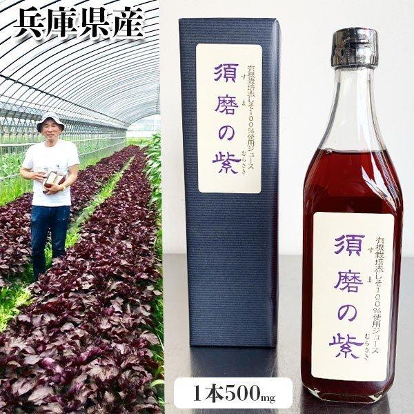 シソ ジュース 須磨のむらさき しそジュース 500ml(1本) 化粧箱付き 須磨の紫 贈答用 赤しそジュース 赤紫蘇ドリンク 兵庫県産 敬老の日 送料無料｜kurashino-mart