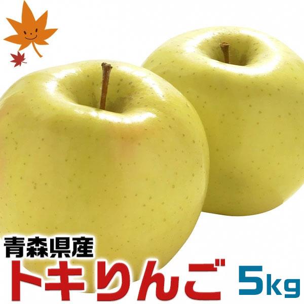 青森県産 トキ りんご 5kg 訳あり ご家庭用 サイズ大小お任せ 希少品種 家庭用 ギフト フルーツ 果物 アップル ギフト広場 : 暮らし ...