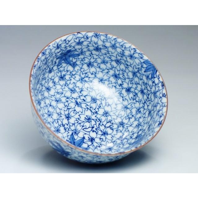 京焼 清水焼 平安孝峰作 染付雲錦書詰 お皿（約21