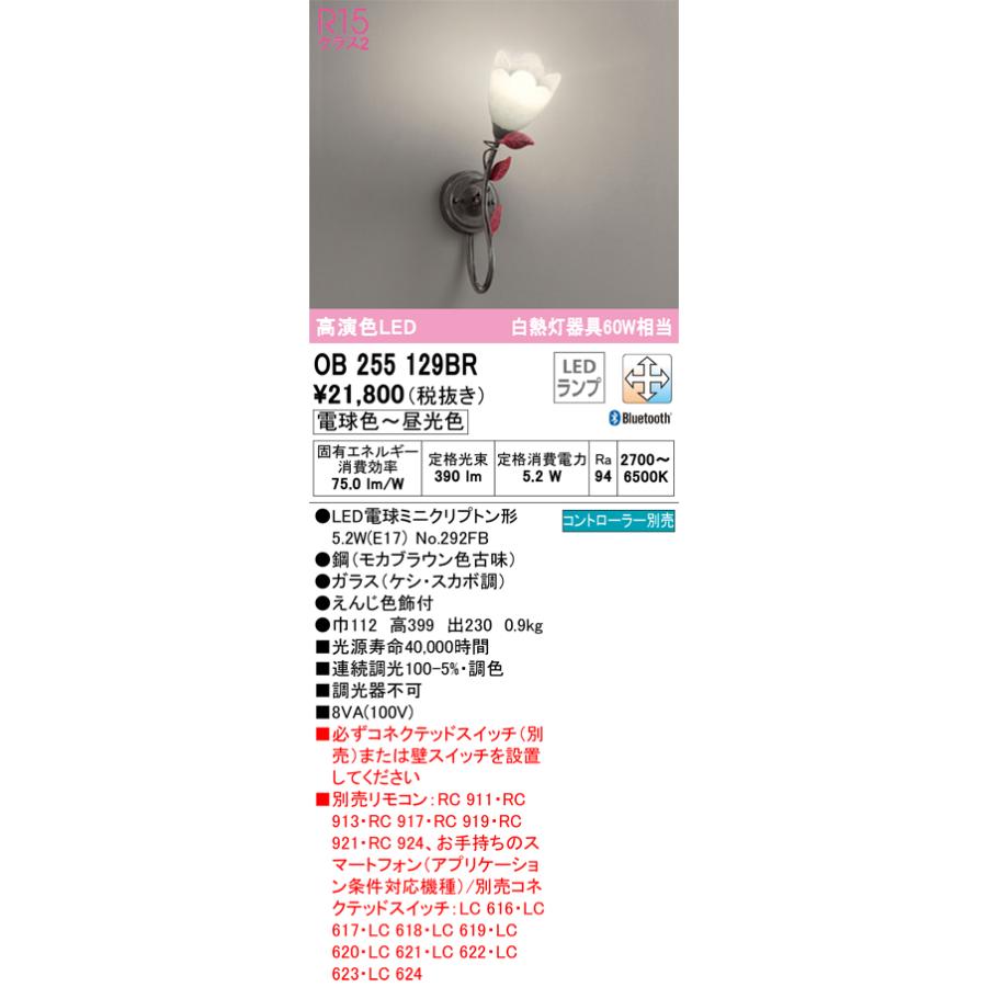 ODELIC（オーデリック） オーデリック照明器具 ブラケット 一般形