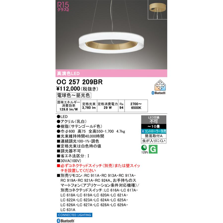 ✨️2023年製✨️オーデリック OC257209BR LEDペンダントライト ODELIC（オーデリック） 安心のメーカー保証 オーデリック照明器具