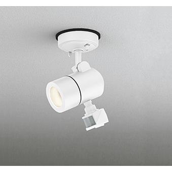 予約販売 オーデリック照明器具 屋外灯 スポットライト OG254560LR （ランプ別梱包）『OG254560#＋NO257EL』  LED 外灯、LED外灯