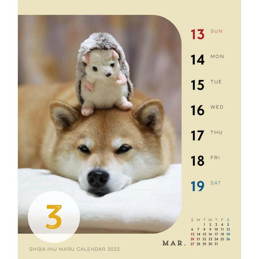 超安い 22年 柴犬まる週めくり卓上カレンダー カレンダー カレンダー Www We Job Com