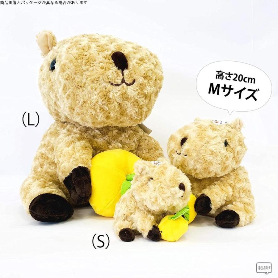 伊豆シャボテン本舗 元祖カピバラの露天風呂 M アクキー付き 動物 もふもふ ゆず湯 カピバラ Love湯 ぬいぐるみ その他おもちゃ レビューで送料無料 Themtransit Com