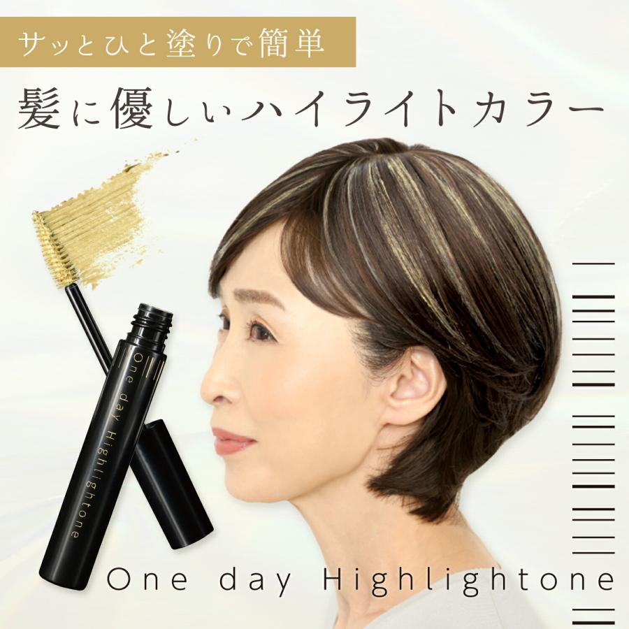 メーカー公式 ワンデーハイライトーン ヘアチョーク ヘアカラー