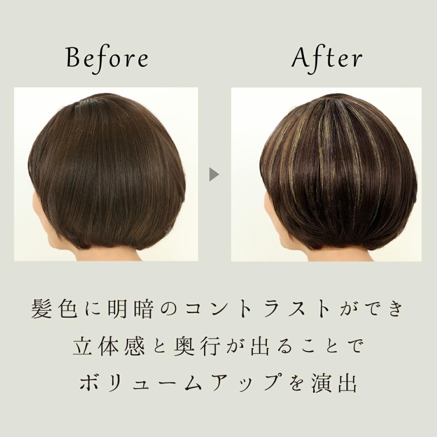 メーカー公式 ワンデーハイライトーン ヘアチョーク ヘアカラー