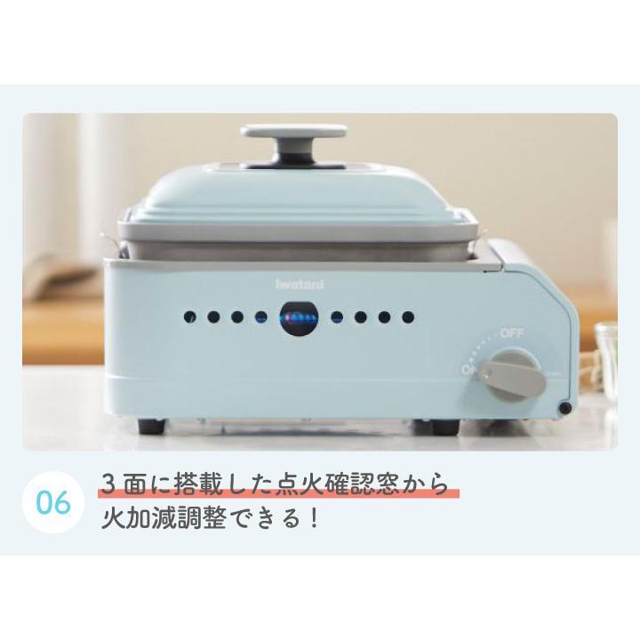 Iwatani（イワタニ） 数量限定 カセットボンベ1本付 カセットガス