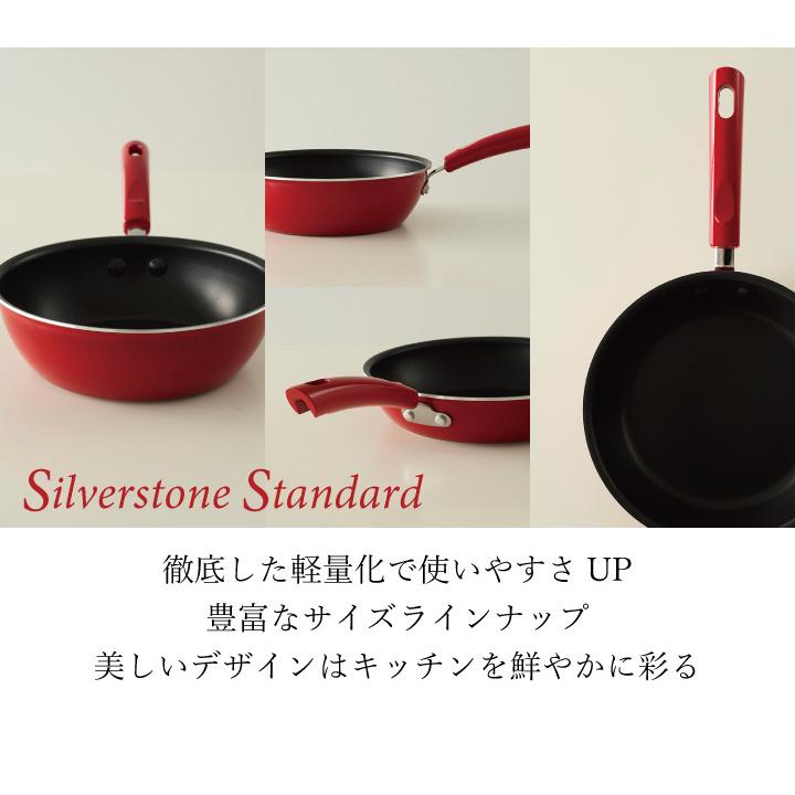 MEYER（マイヤー） 深型フライパン ディープパン 24cm シルバー