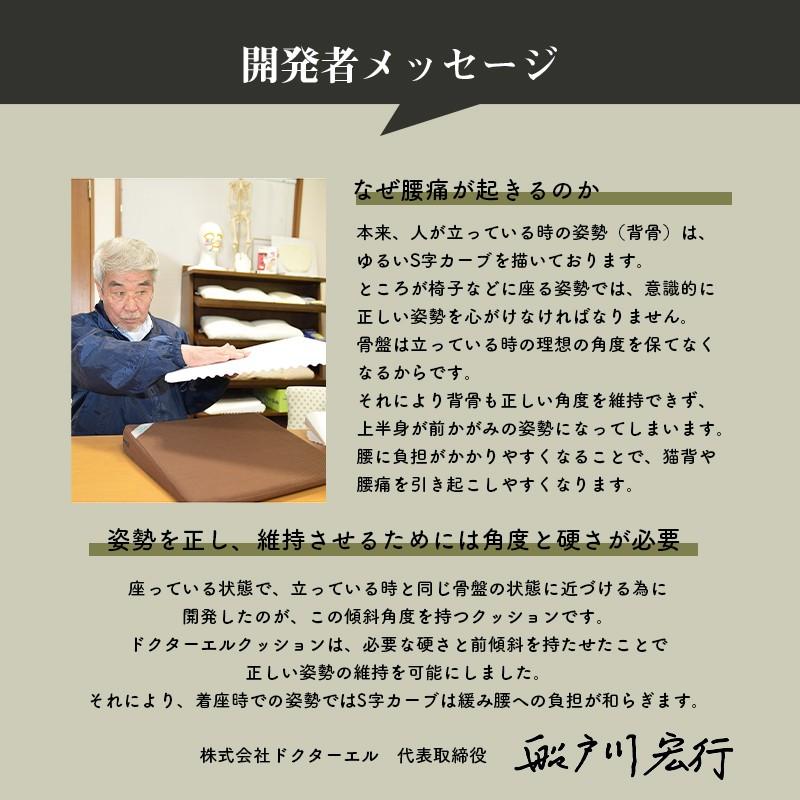 ドクターエル EX クッション ＥＸ‐９８０ 全2色 日本製/腰痛対策/猫背/姿勢矯正/骨盤安定/下っ腹 ぽっこり/代謝アップ/肩こり 解消 グッズの画像