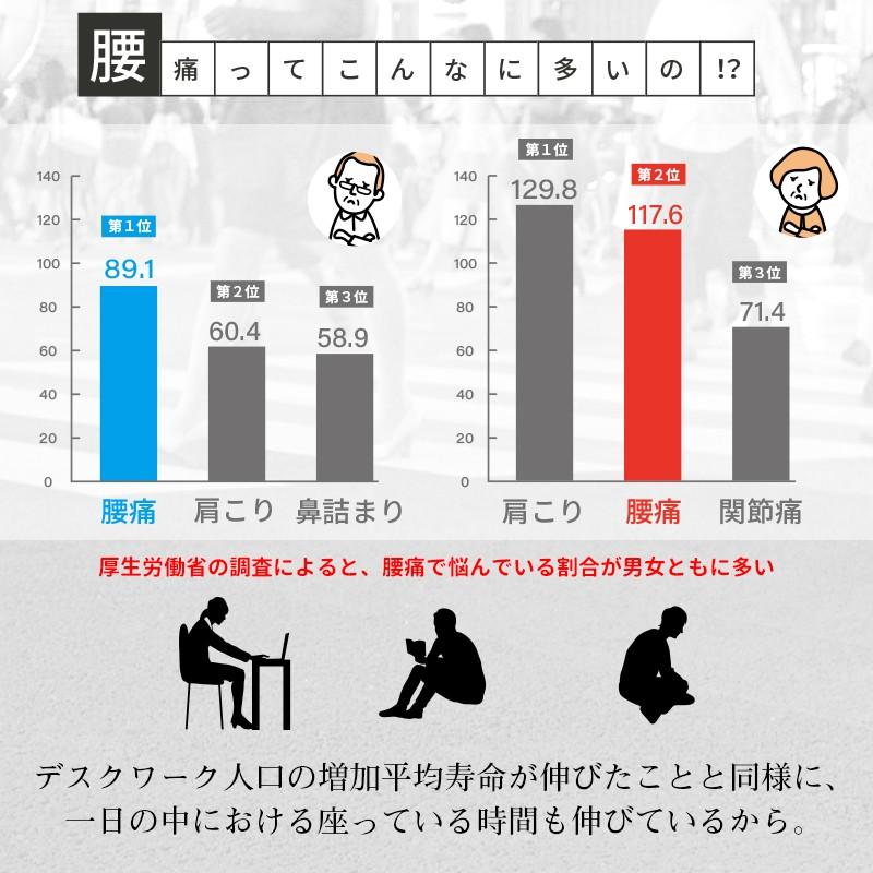 ドクターエル EX クッション ＥＸ‐９８０ 全2色 日本製/腰痛対策/猫背/姿勢矯正/骨盤安定/下っ腹 ぽっこり/代謝アップ/肩こり 解消 グッズの画像
