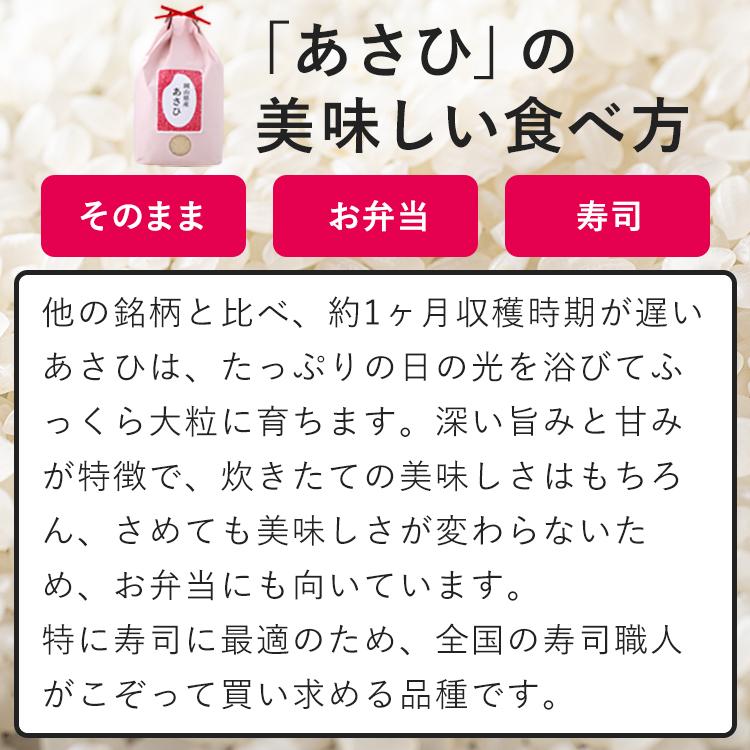 高アミロース米 あさひ 20kg(5kg×4) 令和5年産 岡山県産 朝日 白米 玄米 分付き米 5分付き 7分付き｜kurasikibeibei｜03