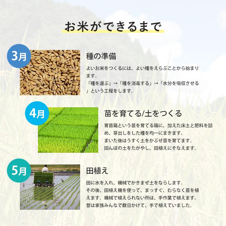 【令和5年産】にこまる 900g 岡山県産 白米 無洗米 玄米 分付き米 3分付き 5分付き 7分付き 1000円ポッキリ 少量パック 送料無料｜kurasikibeibei｜06