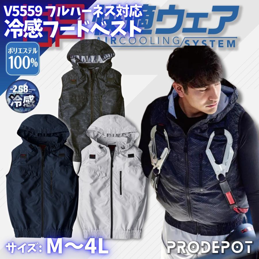 ファッションプレート全集 5巻セット ファッション | プレート全集 | 1～5巻セット - ノースブック