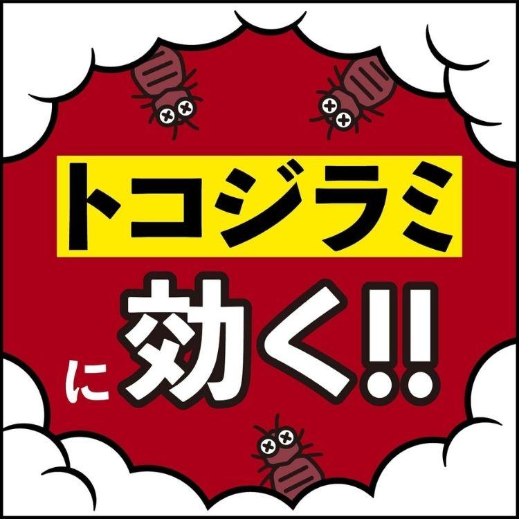 第2類医薬品 10個セット アース製薬 アースレッドW 6~8畳 10g アースレッド ゴキブリ | アースレッド | 04