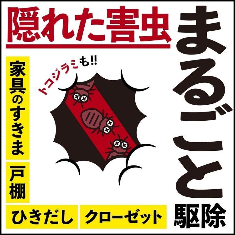 第2類医薬品 10個セット アース製薬 アースレッドW 6~8畳 10g アースレッド ゴキブリ | アースレッド | 07