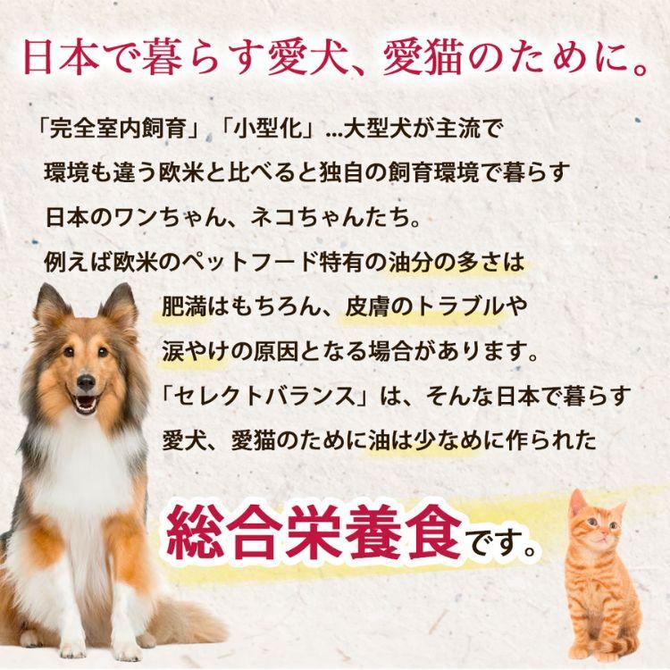 ベッツ・チョイス・ジャパン ポイント10倍 セレクトバランス