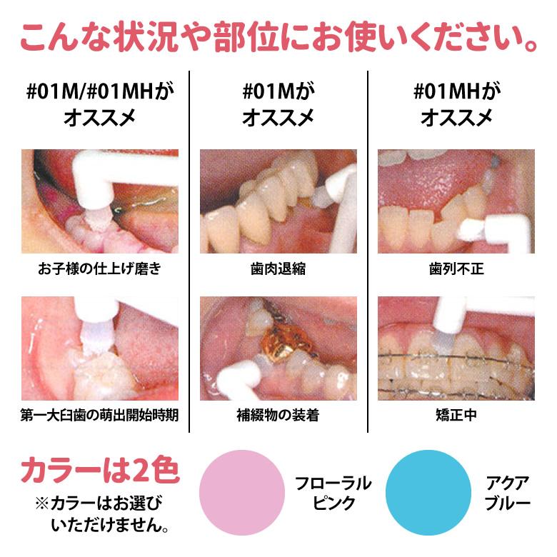 6本セット サンスター バトラー シングルタフト 歯ブラシ ♯01M 歯科専売品｜kurasio-en｜04