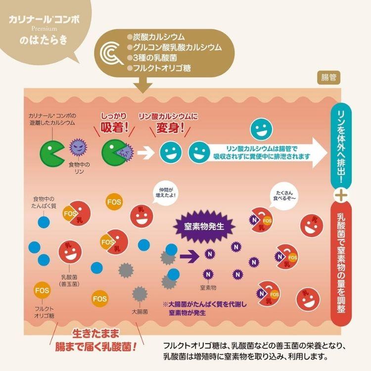 セット　カリナールコンボ プレミアム＆療法食 【MV】carenal3_mobile.png?w=