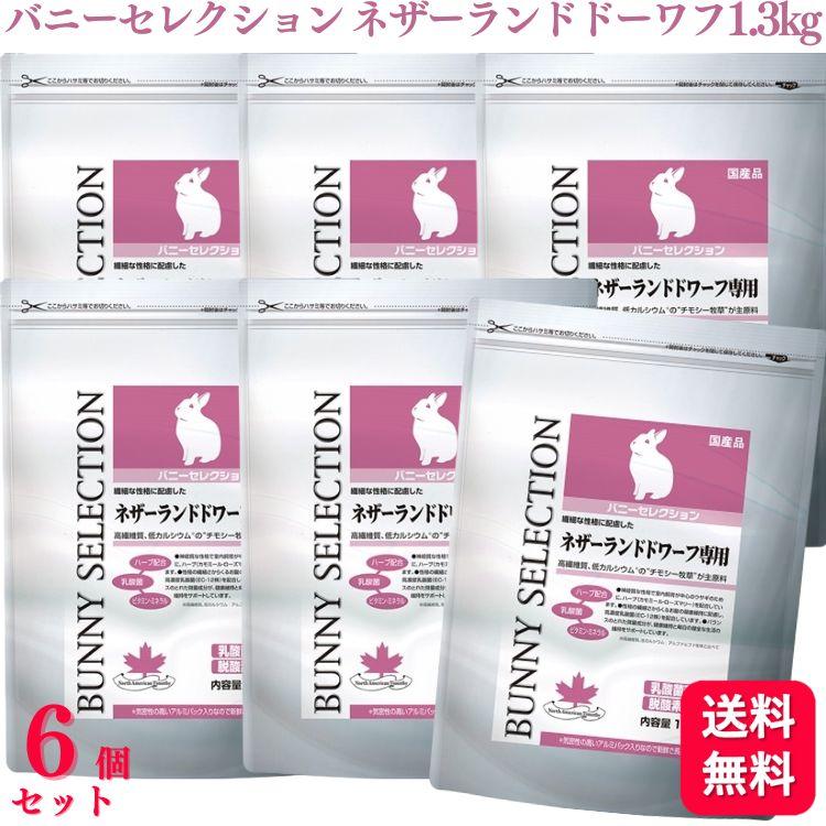 バニーセレクション ネザーランドドワーフ 6個セット SELECTION 送料無料 6個セット イースター バニーセレクション