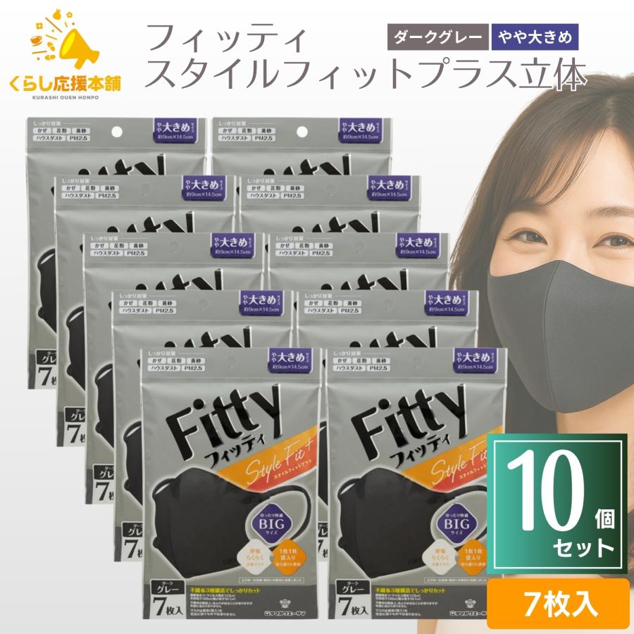 Fitty 10袋セット フィッティ スタイルフィットプラス 立体