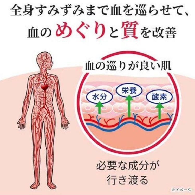 第2類医薬品 小林製薬 命の母 メグリビa 168錠 漢方薬 肌 更年期｜kurasio-en｜05