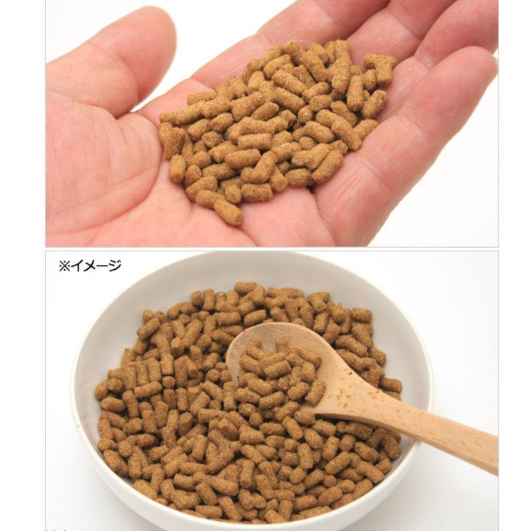 ニチドウ 送料無料 2個セット メディモモンガ 1kg 日本動物薬 モモンガ