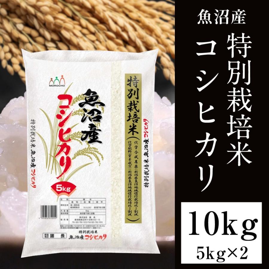 コシヒカリ 魚沼産 お米10kg(5kg×2) 令和7年産 新潟県 白米 受注精米