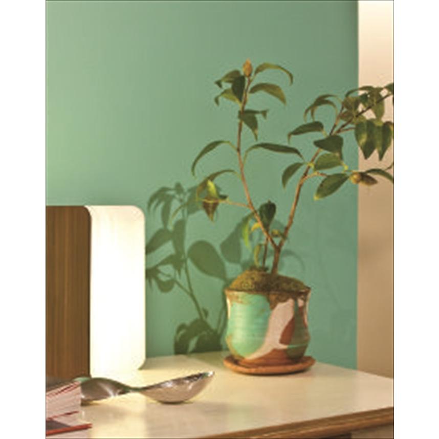 信楽焼 ハンドメイド 植木鉢 受皿セット パラキートポット 底穴あり a くら助 通販 Yahoo ショッピング