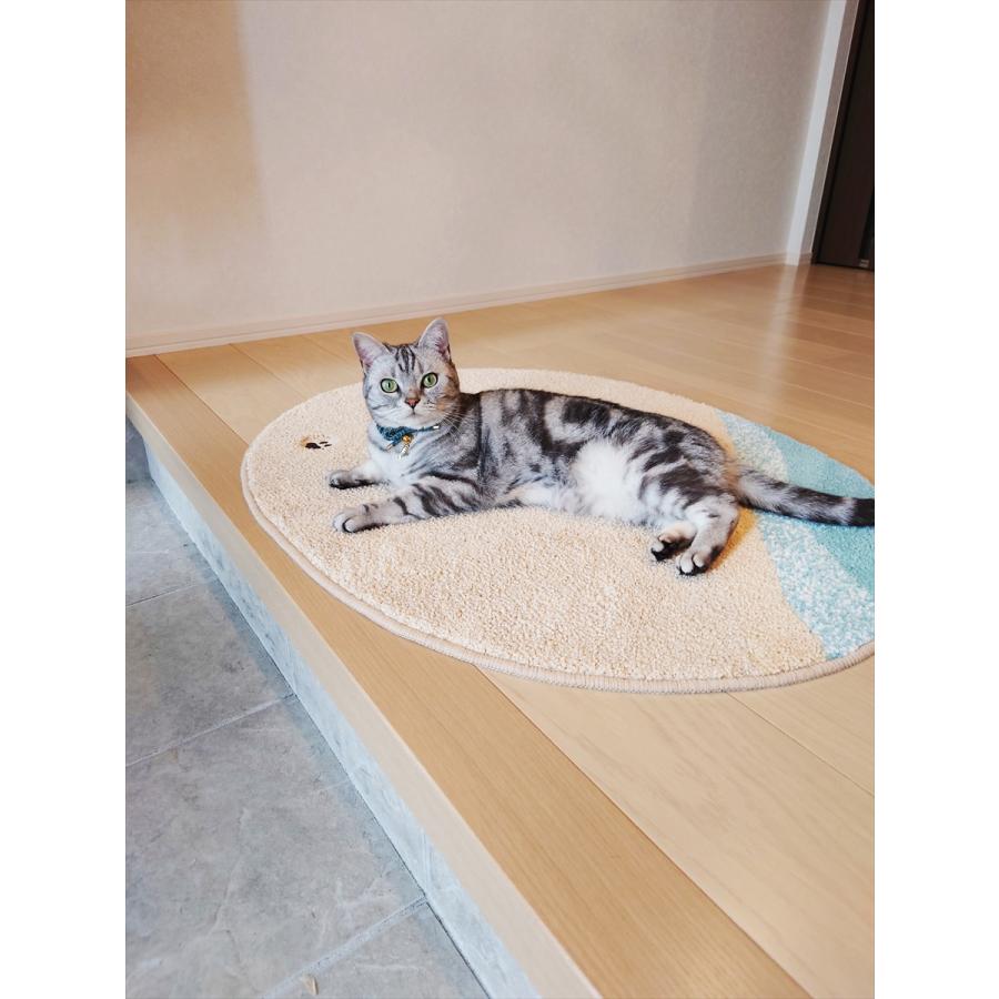 住宅用 洗えるマルチマット 猫ラグ 70×90cm ビーチ ラグタス