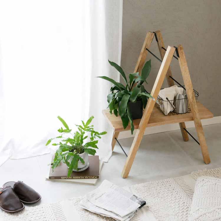 ポッシュリビング POSH LIVING ラダーハンガーS サイズ 【公式通販】