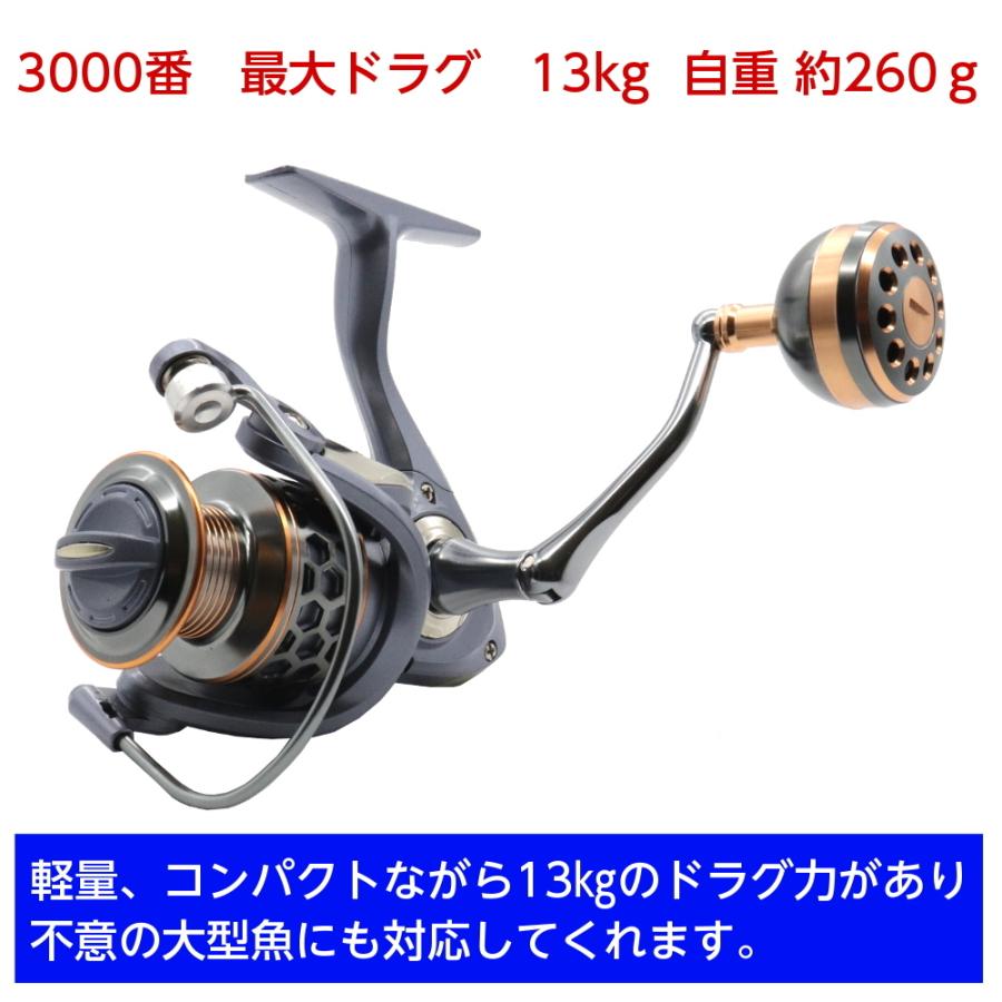 i-loop スピニングリール 3000番 軽量 最大ドラグ 13kg リール i-loop スピニングリール 3000番 軽量 最大ドラグ 13kg リール
