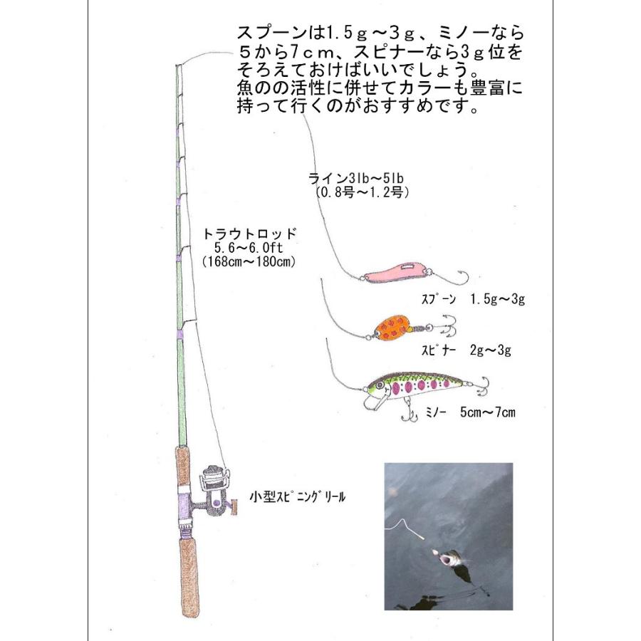 i-loop マイクロ スプーン 2.5cm 1.5g 10色 10個 ルアー セット バーブレスフック タックルケース付き フライ 管釣り｜kurasupe｜03