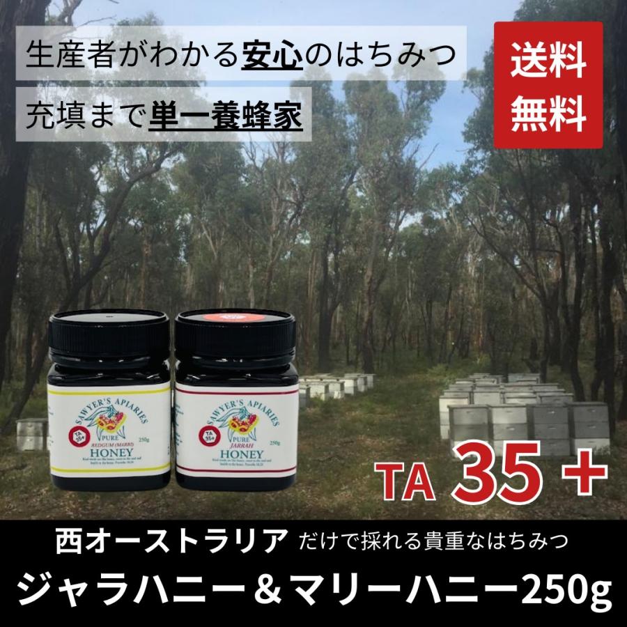 【2個セット】はちみつ ジャラハニー マリーハニー 250g 西オーストラリア産 ユーカリ ハーブ 希少 天然はちみつ 抗菌力 TA35 単一養蜂家 | 