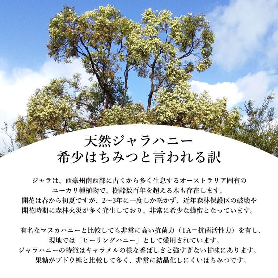 はちみつ ジャラハニー 250g 西オーストラリア産 ユーカリ ハーブ 希少 天然はちみつ 抗菌力 腸内細菌 健康 プレバイオティクス TA35 単一養蜂家 |  | 01