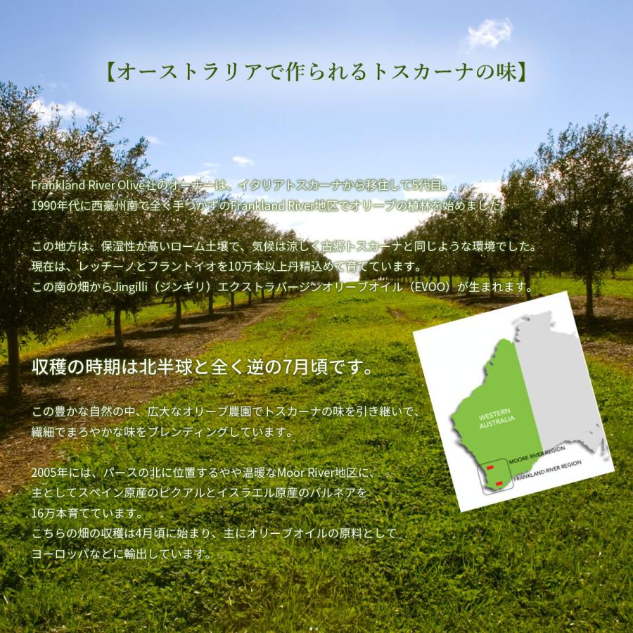 【Olive Japan 2025銀賞】オリーブオイル 1L ジンギリ Jingilli エクストラバージンオリーブオイル コールドプレス製法  真空カスクケース入り |  | 01