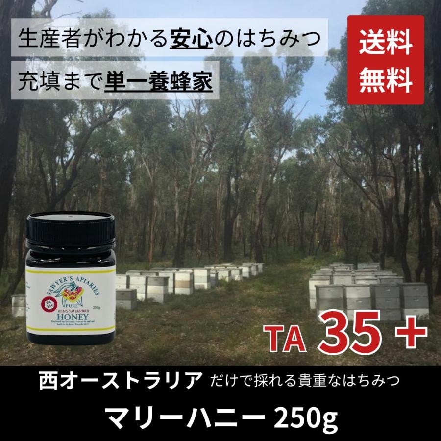 はちみつ マリーハニー 250g レッドガム 西オーストラリア産 ユーカリ ハーブ 天然はちみつ 抗菌力 腸内細菌 健康 プレバイオティクス TA35 単一養蜂家 | 