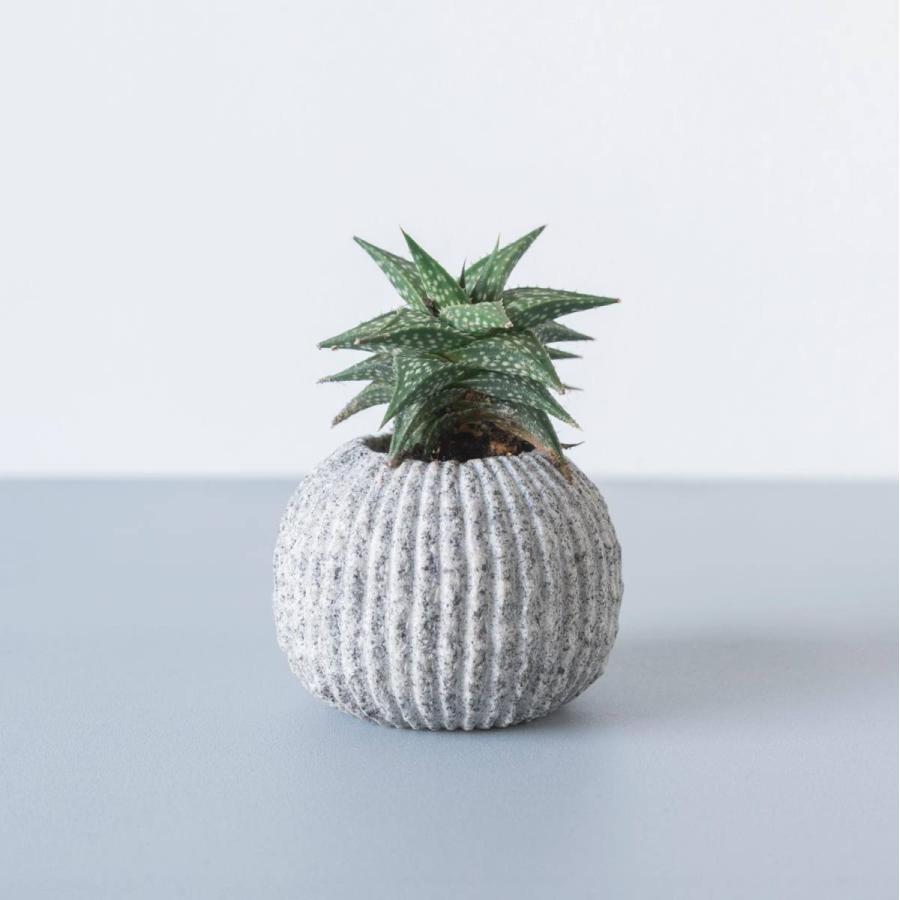 花器　花瓶　flower vase  OT-VASE-sabo-A　庵治石  AJI PROJECT　SABO-1 |  | 01