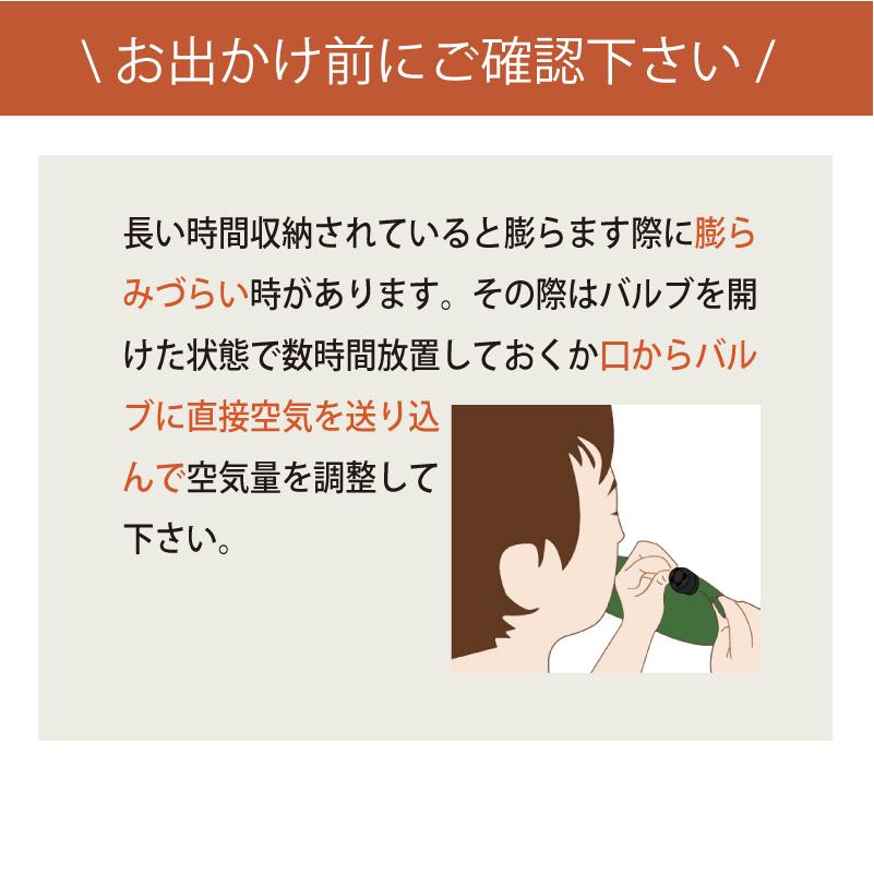 Bears Rock（ベアーズロック） 座布団 ざぶとん インフレータブル エア