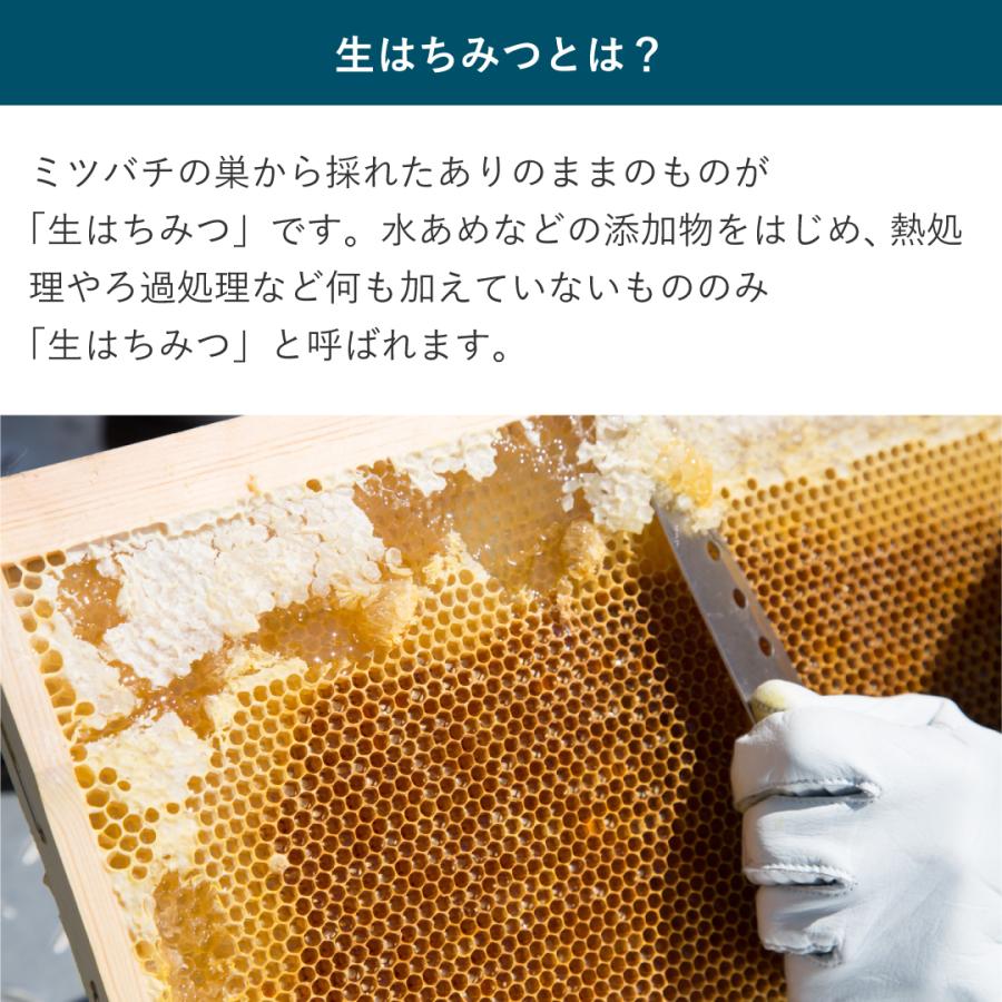 佐賀のえごま農家が作った生はちみつ 200g｜kurazen｜08