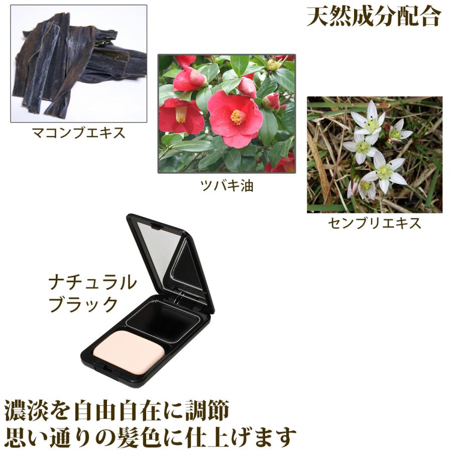 Tommy Rich（トミーリッチ） 送料無料/1個 白髪隠し 美髪
