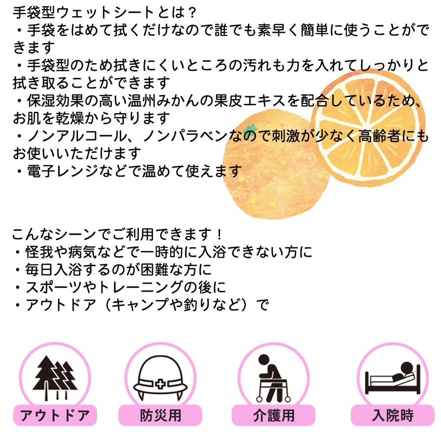 本田洋行 体拭きシート 手袋 からだふき 8枚入 無香料 手袋型 水不要