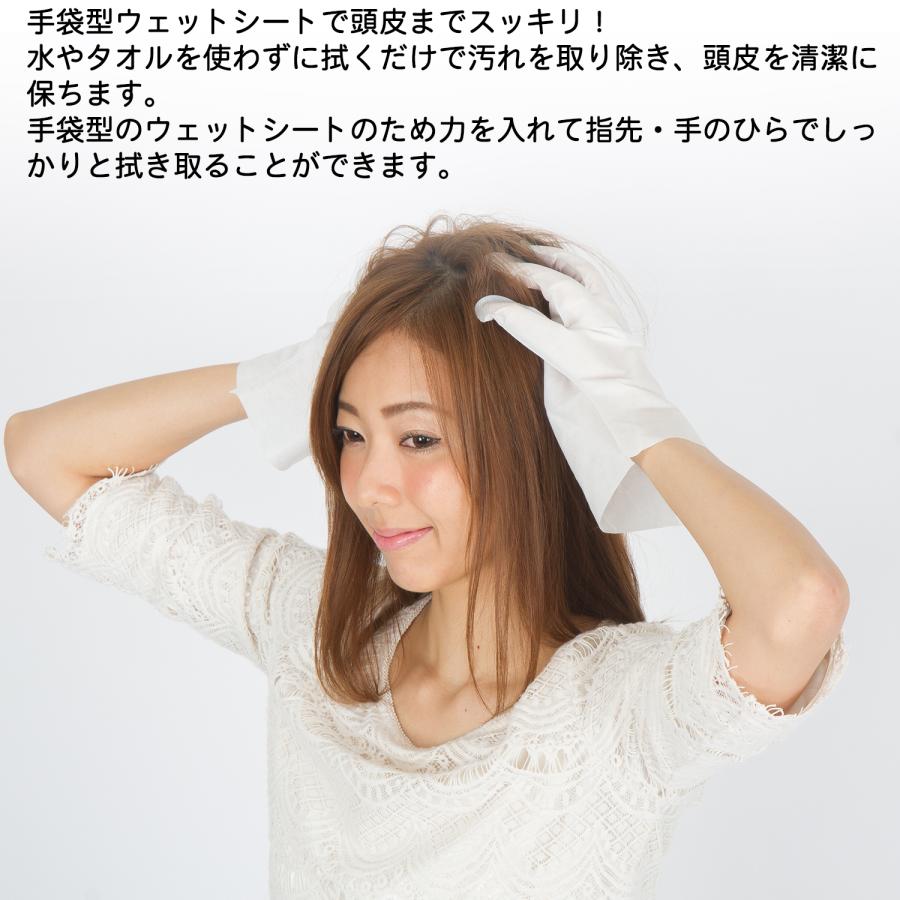 本田洋行 24袋セット シャンプー ドライシャンプー 手袋 5枚入 水不要