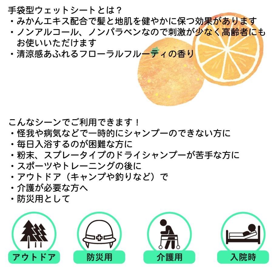 本田洋行 【24袋セット】ドライシャンプー 手袋 5枚入 水不要 拭くだけ