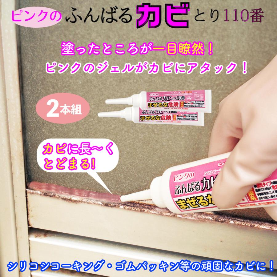 富士パックス販売 送料無料【2本/100g】ピンクのふんばるカビとり110番