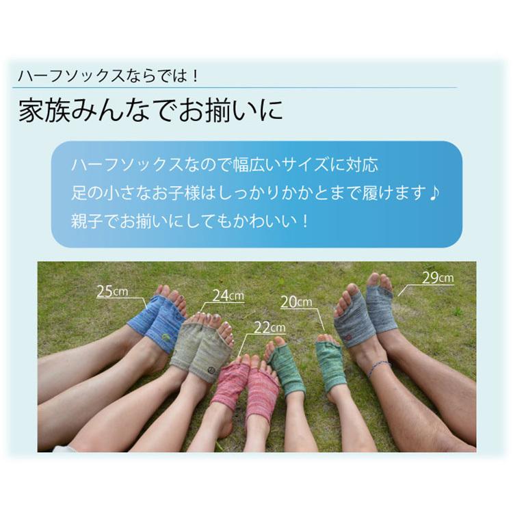 三笠（mikasa） 同色2足 げんべい商店 コラボソックス ビーソク