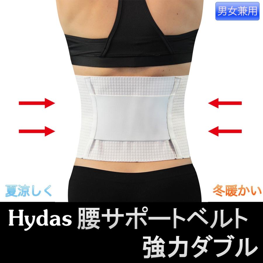 ハイダス 腰サポートベルト 強力ダブル‐在宅勤務 リモートワーク 腰痛