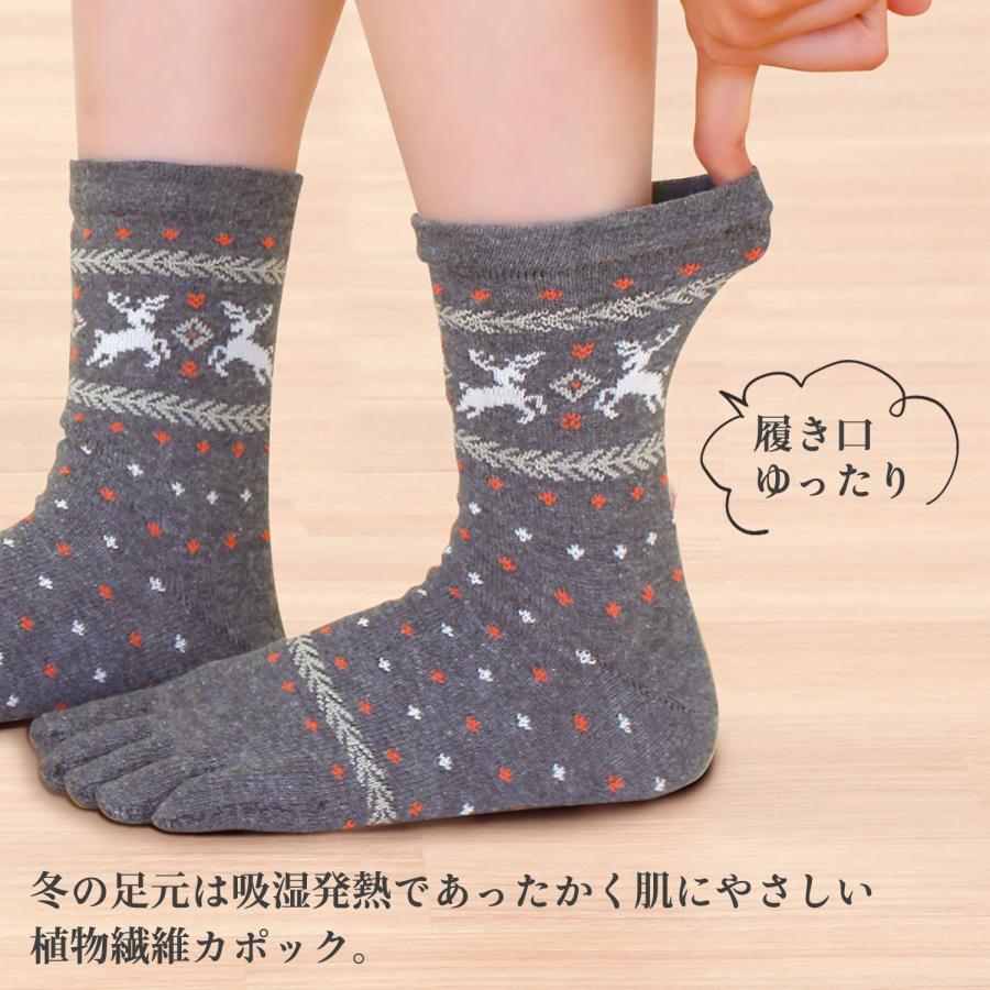 三笠（mikasa） ぬくぬくカポック 口ゴムゆったり ノルディック柄 5本